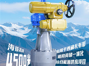 4500米！CMD368(中国区)体育有限公司官网集团服务全球海拔最高的光热电站